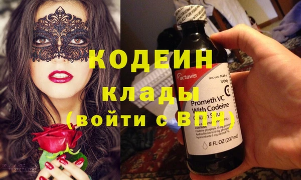 дмт Бородино