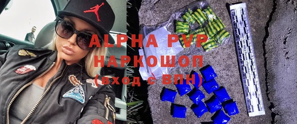 дмт Бородино
