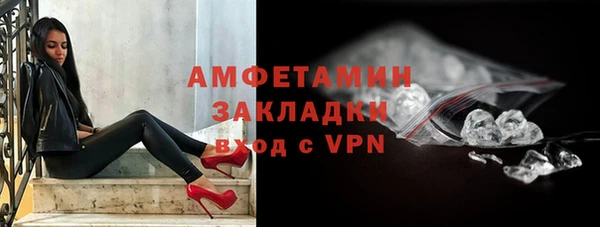 дмт Бородино
