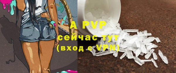 дмт Бородино