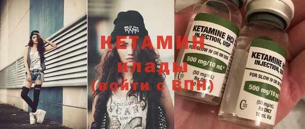 дмт Бородино