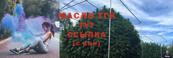 дмт Бородино