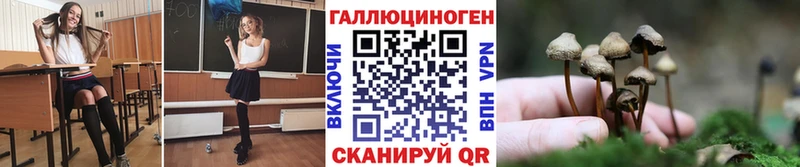 мориарти телеграм  Павловский Посад  Псилоцибиновые грибы Psilocybine cubensis  где продают  